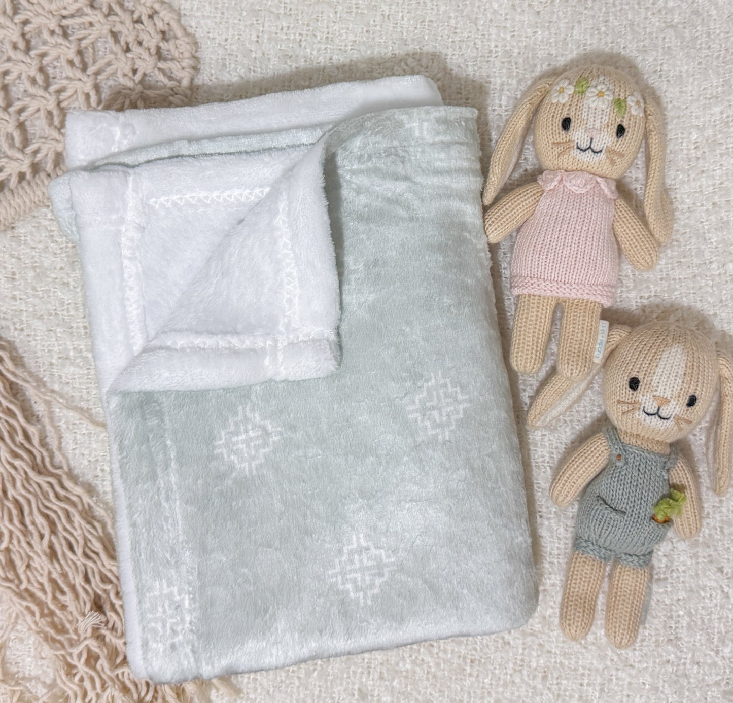 Gentle Origins Minky Collection